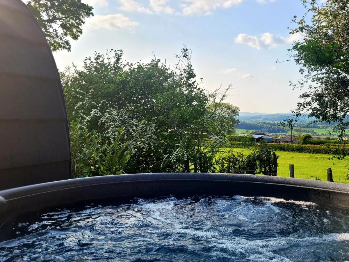 Ferienwohnung Odli Glamping - Deri Welshpool Exterior foto