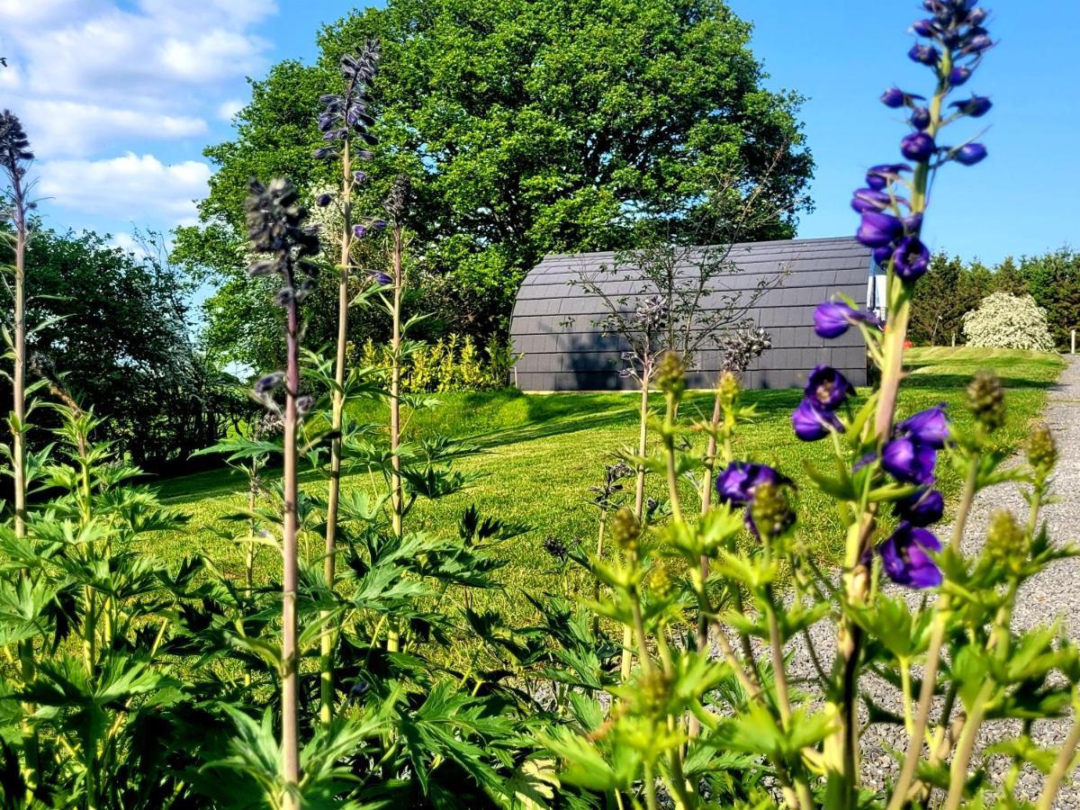 Ferienwohnung Odli Glamping - Deri Welshpool Exterior foto